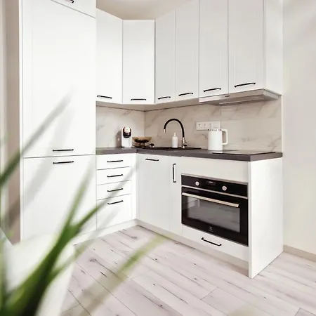 Edvin Loft X Free Parking Apartment Vilnius Exterior photo